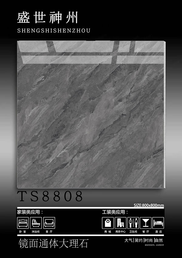 TS8808