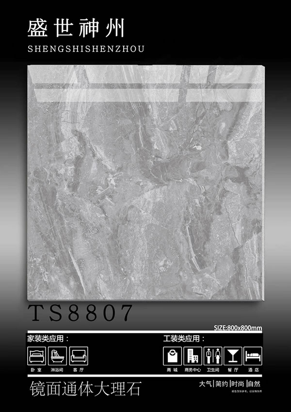 TS8807