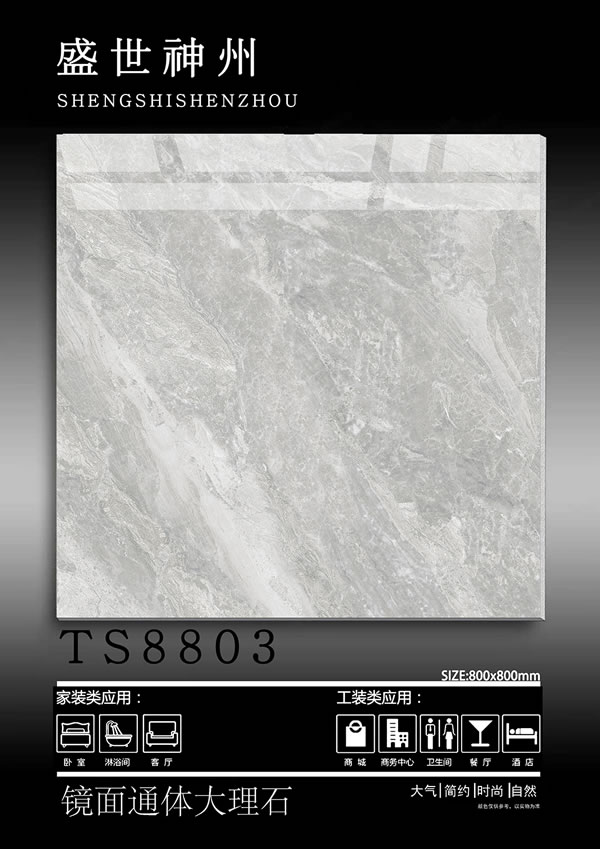 TS8803